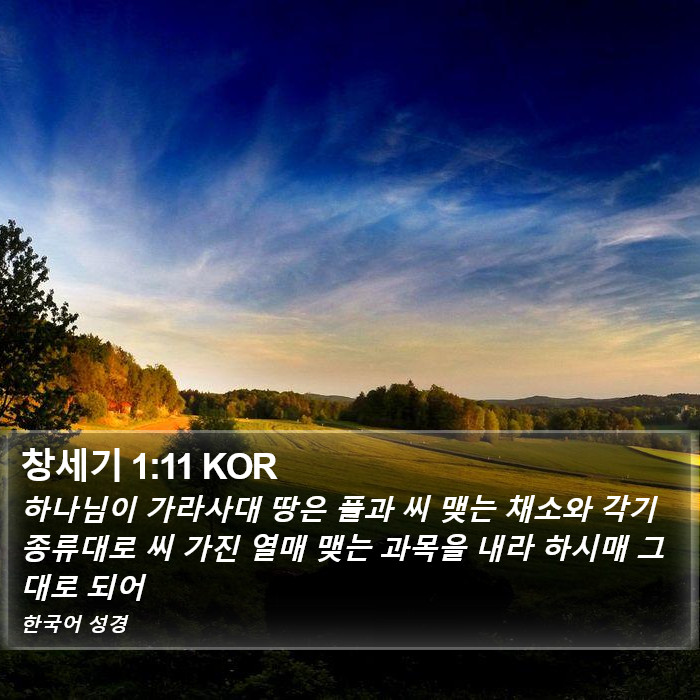 창세기 1:11 KOR Bible Study