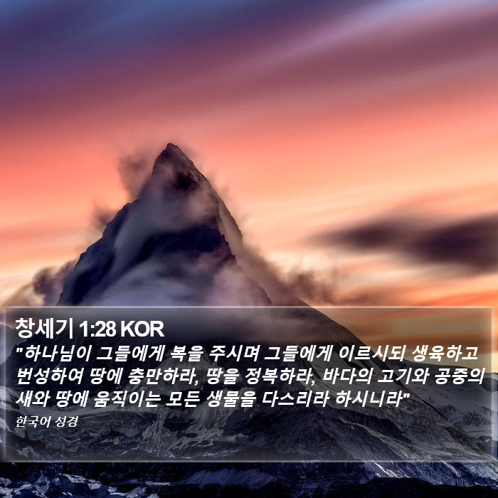 창세기 1:28 KOR Bible Study