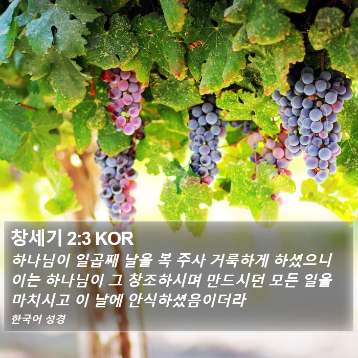 창세기 2:3 KOR Bible Study