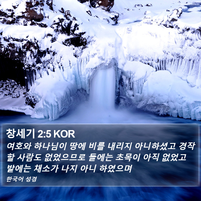 창세기 2:5 KOR Bible Study