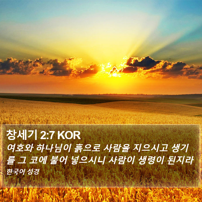 창세기 2:7 KOR Bible Study