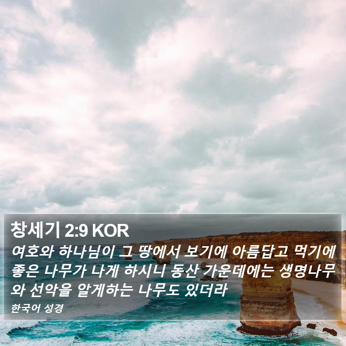 창세기 2:9 KOR Bible Study