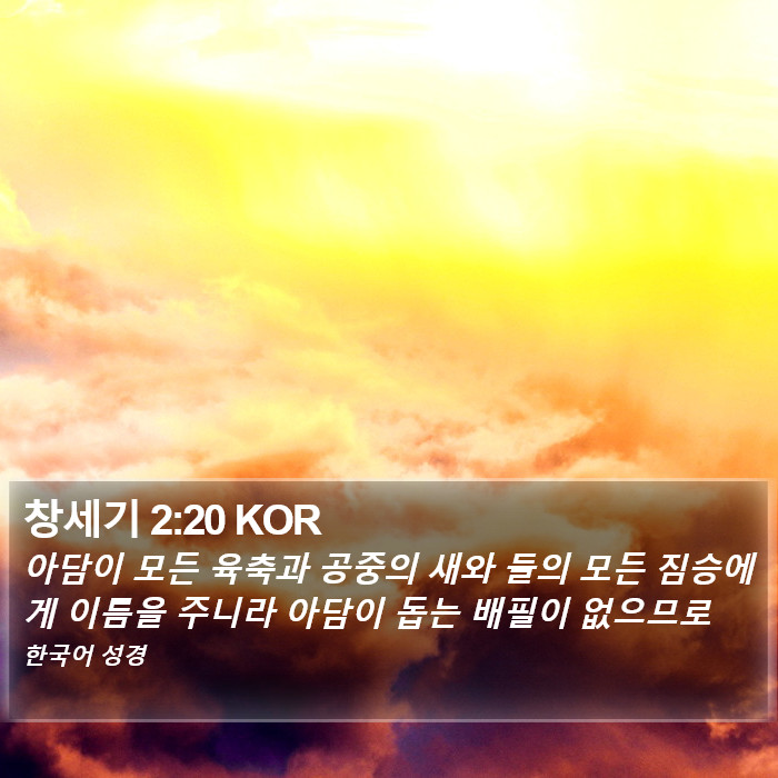 창세기 2:20 KOR Bible Study