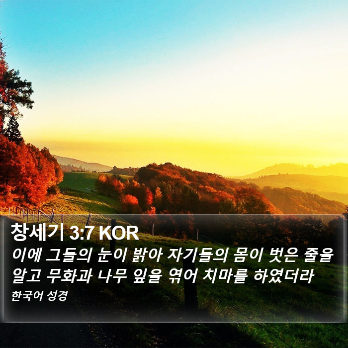 창세기 3:7 KOR Bible Study