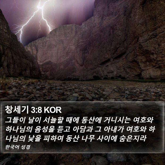 창세기 3:8 KOR Bible Study