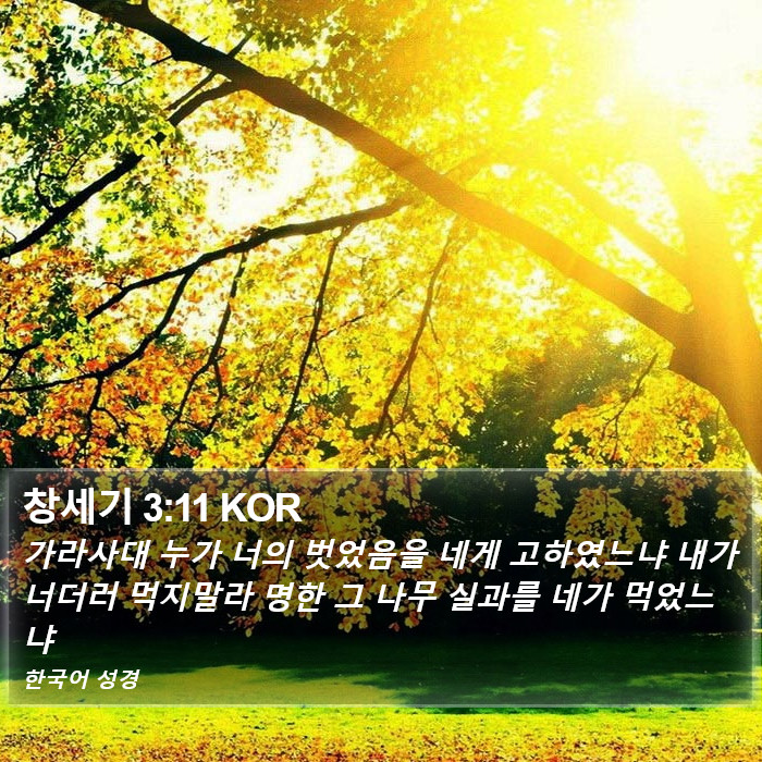 창세기 3:11 KOR Bible Study