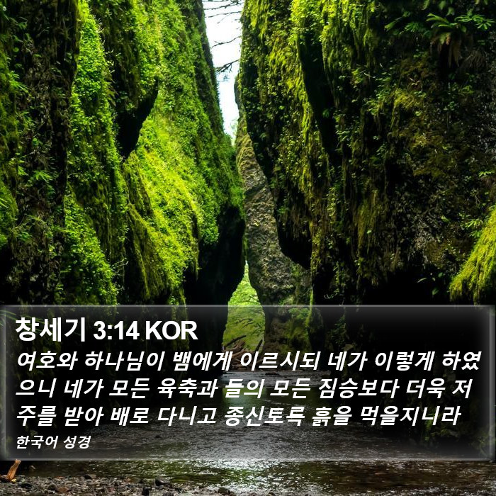 창세기 3:14 KOR Bible Study