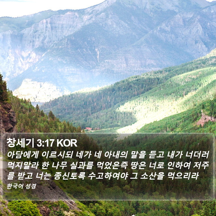 창세기 3:17 KOR Bible Study