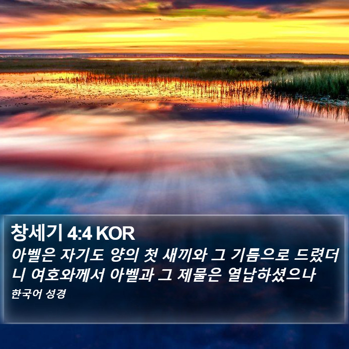 창세기 4:4 KOR Bible Study