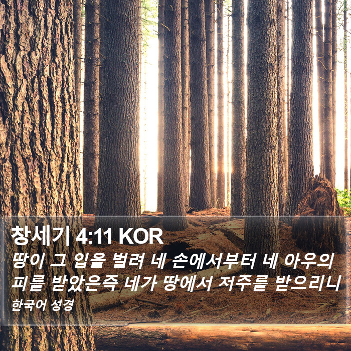 창세기 4:11 KOR Bible Study