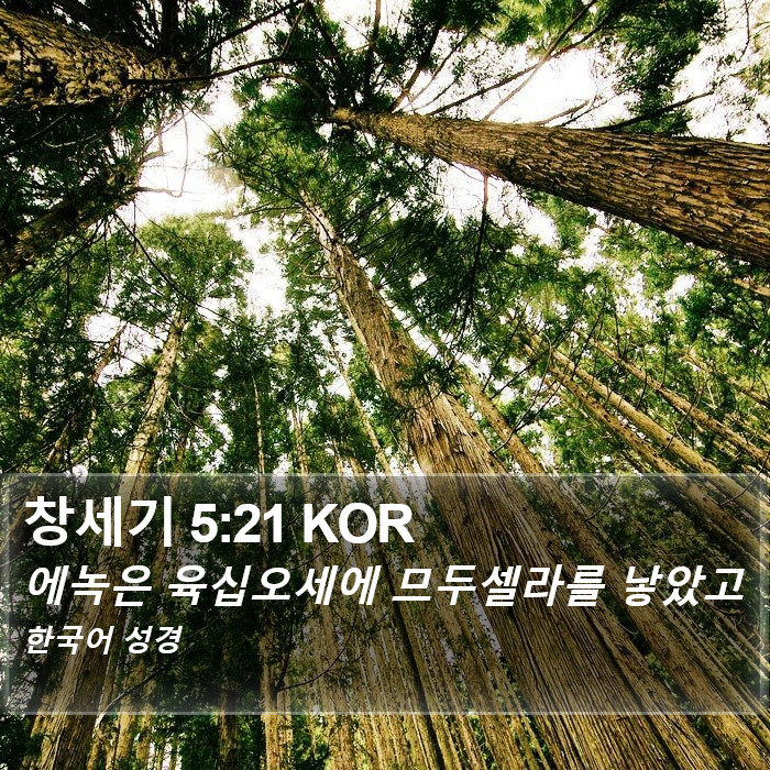 창세기 5:21 KOR Bible Study