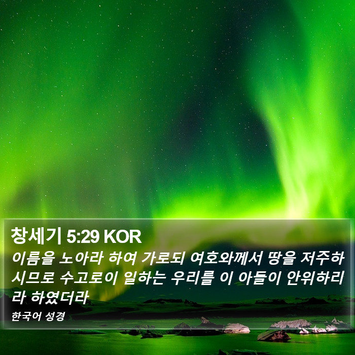 창세기 5:29 KOR Bible Study