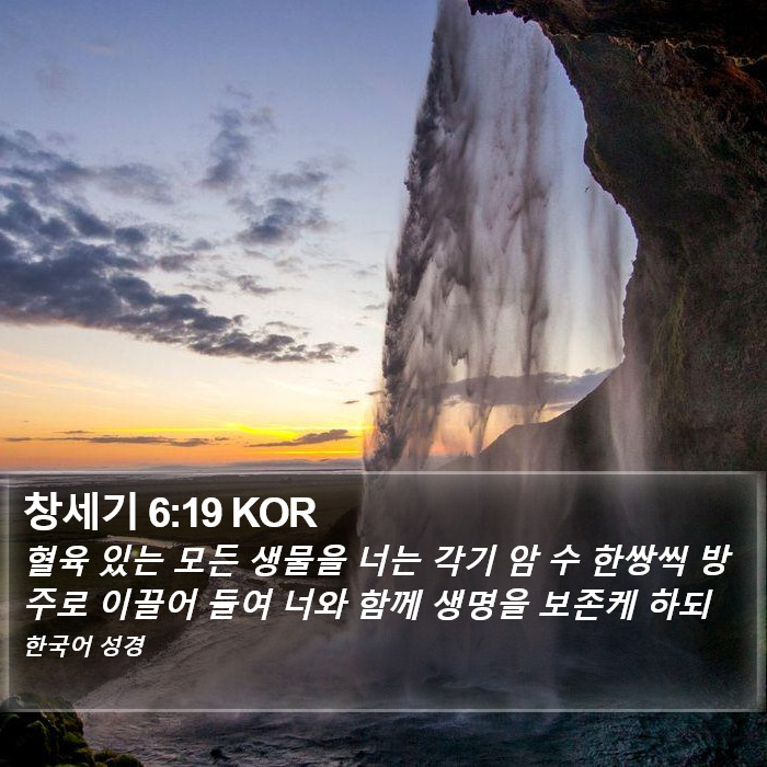 창세기 6:19 KOR Bible Study