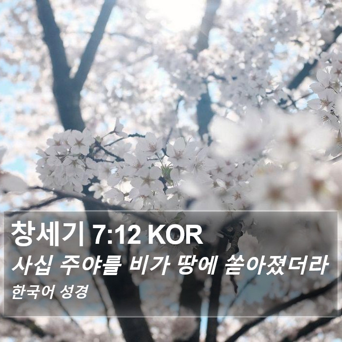 창세기 7:12 KOR Bible Study