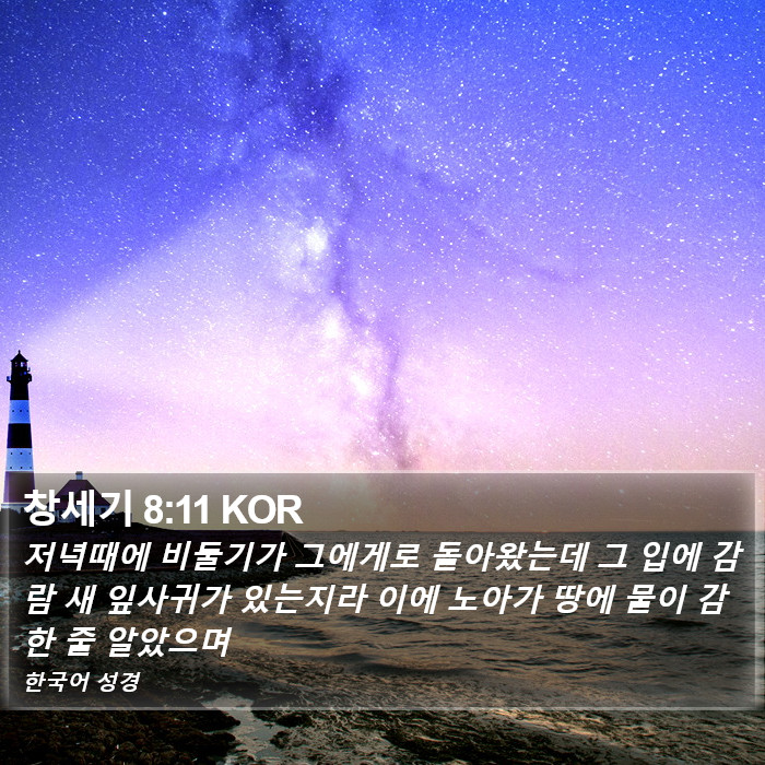 창세기 8:11 KOR Bible Study