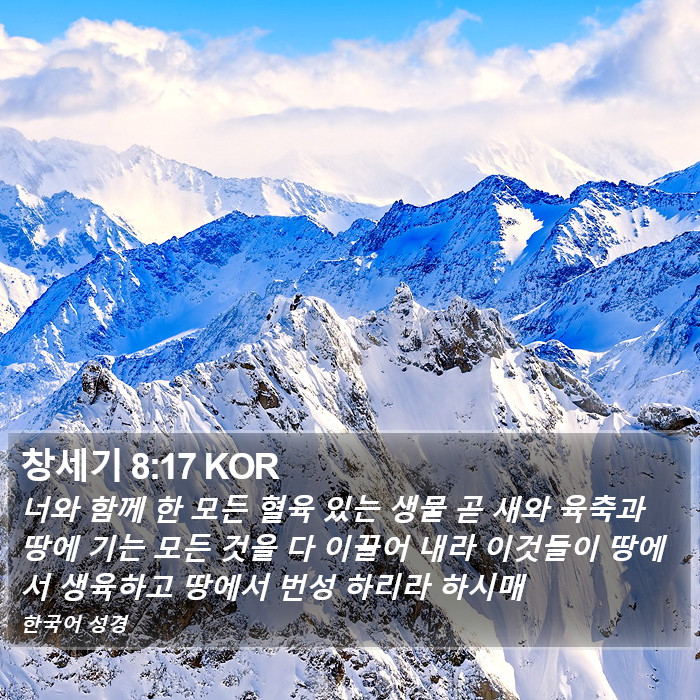 창세기 8:17 KOR Bible Study