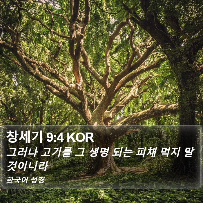 창세기 9:4 KOR Bible Study