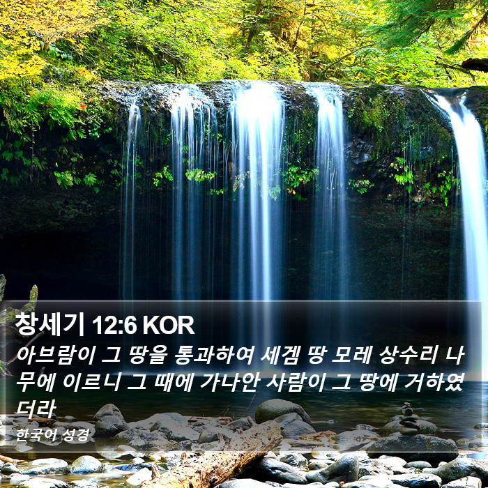 창세기 12:6 KOR Bible Study