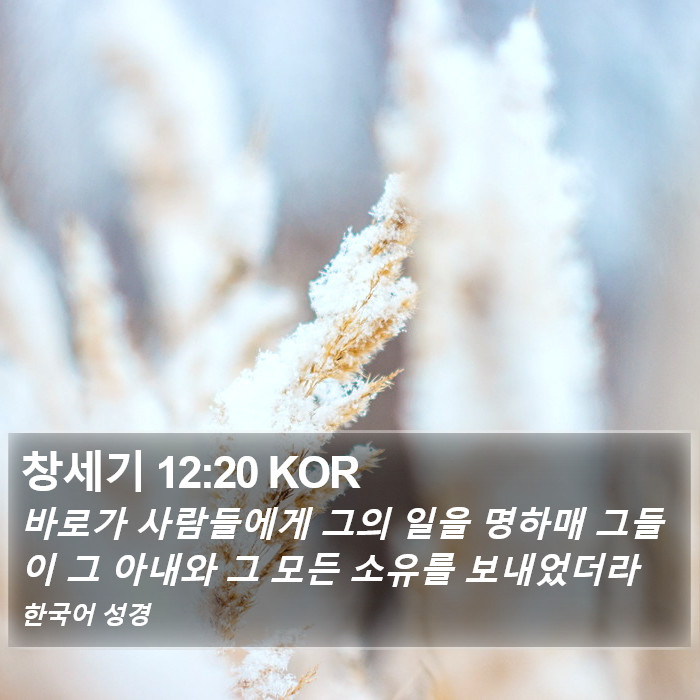 창세기 12:20 KOR Bible Study