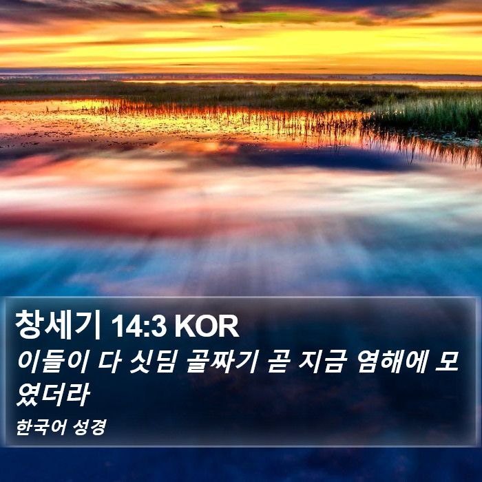 창세기 14:3 KOR Bible Study