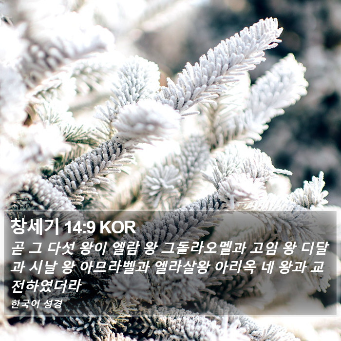 창세기 14:9 KOR Bible Study