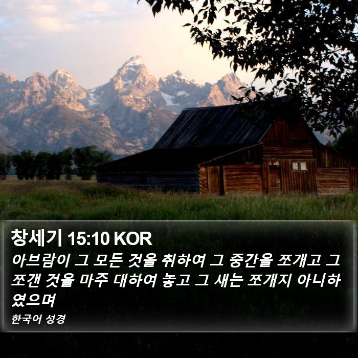 창세기 15:10 KOR Bible Study