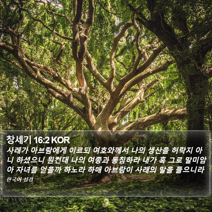 창세기 16:2 KOR Bible Study