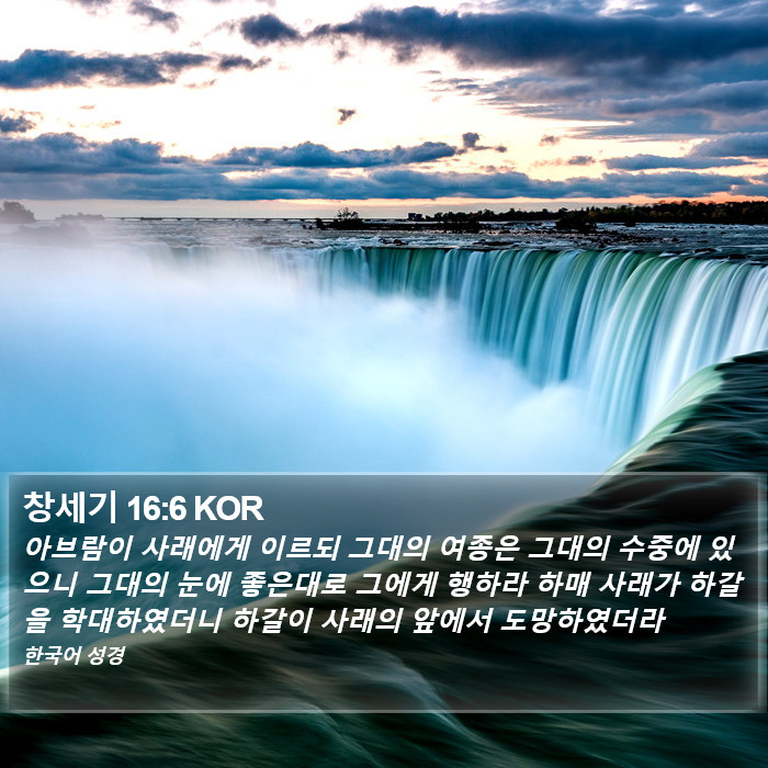 창세기 16:6 KOR Bible Study