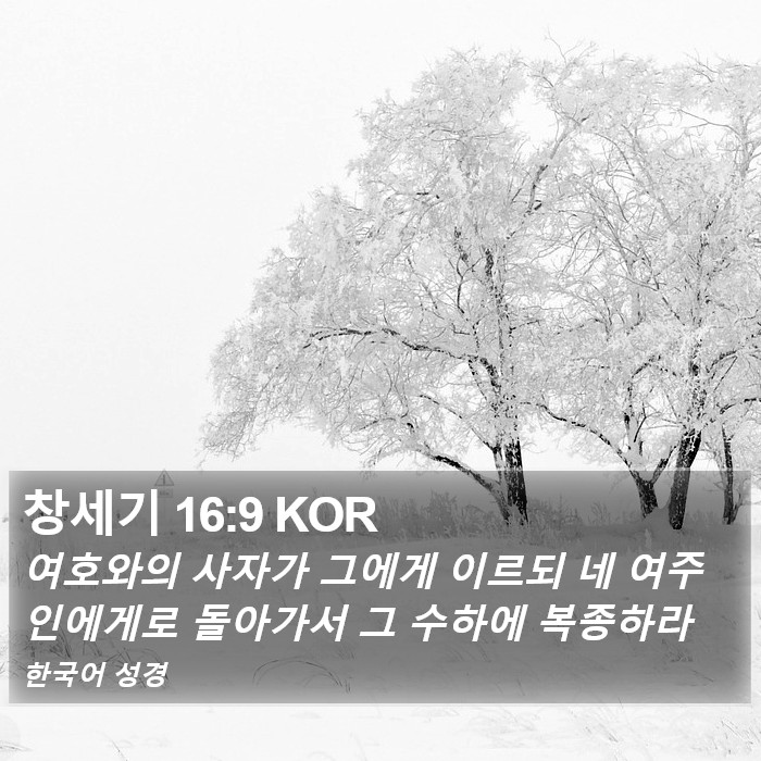 창세기 16:9 KOR Bible Study