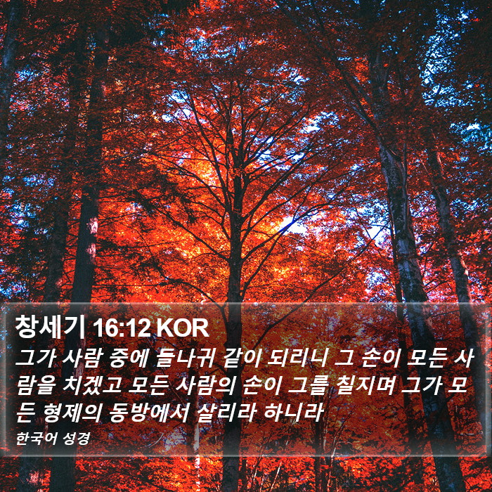 창세기 16:12 KOR Bible Study