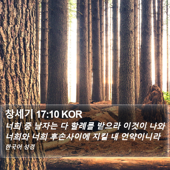 창세기 17:10 KOR Bible Study