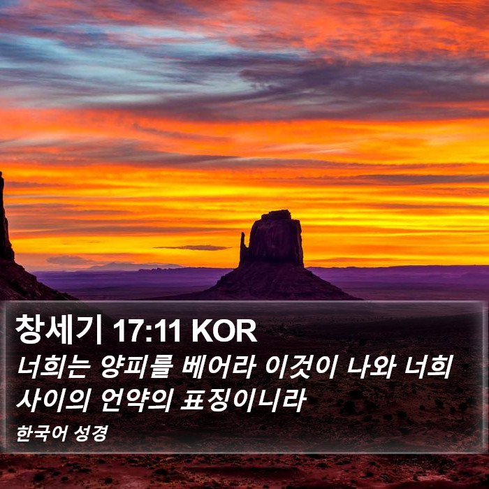 창세기 17:11 KOR Bible Study