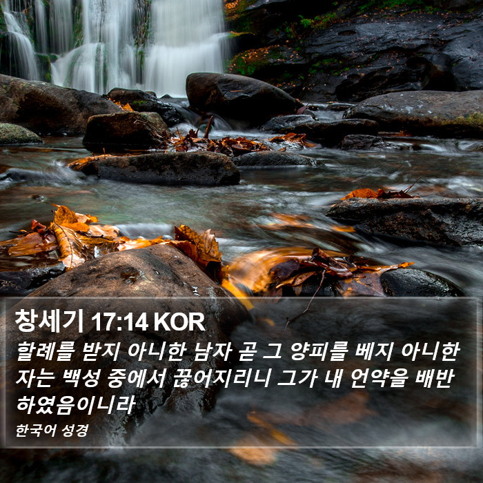 창세기 17:14 KOR Bible Study