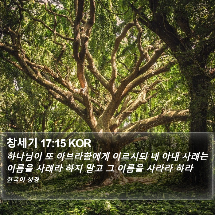 창세기 17:15 KOR Bible Study