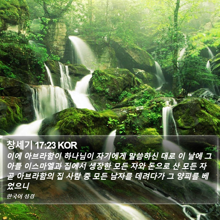 창세기 17:23 KOR Bible Study