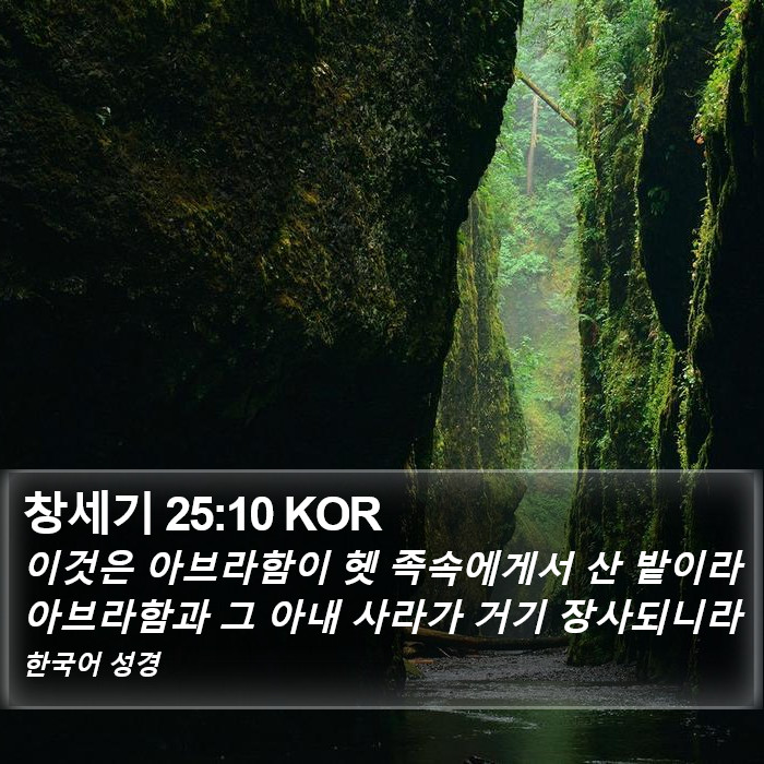 창세기 25:10 KOR Bible Study