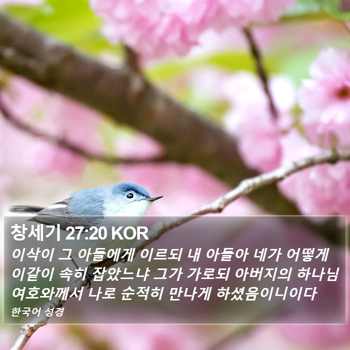 창세기 27:20 KOR Bible Study