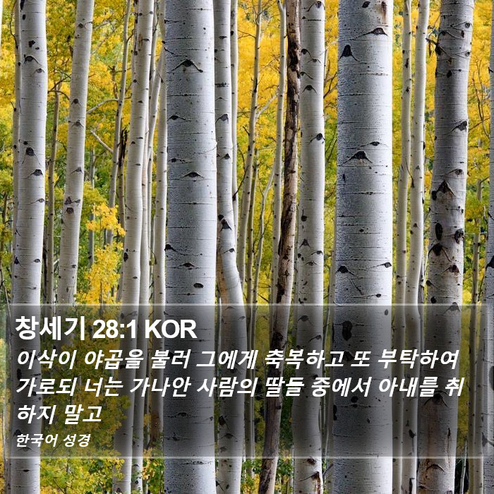 창세기 28:1 KOR Bible Study