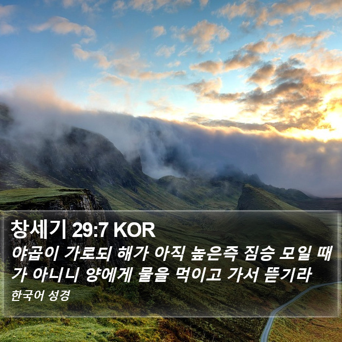 창세기 29:7 KOR Bible Study