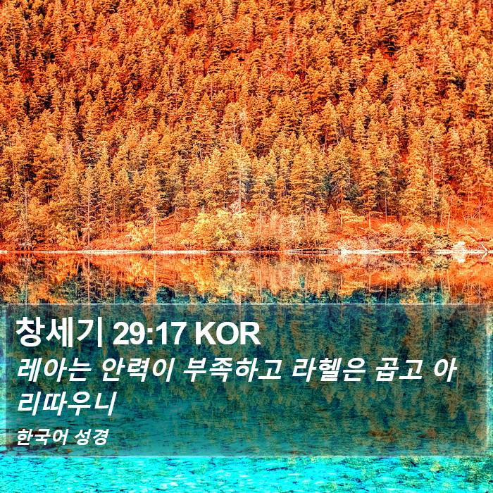 창세기 29:17 KOR Bible Study