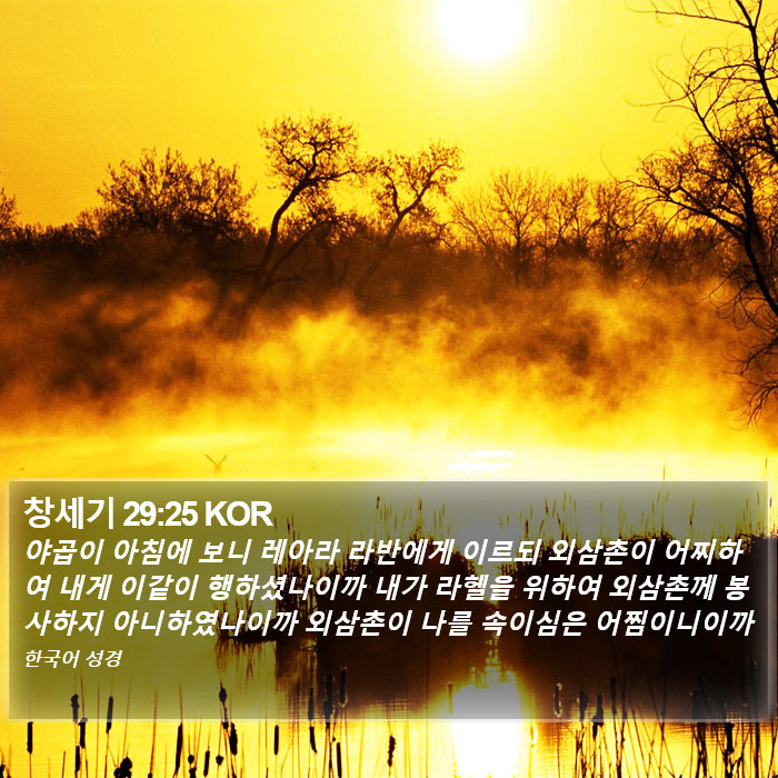 창세기 29:25 KOR Bible Study