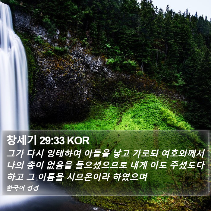 창세기 29:33 KOR Bible Study