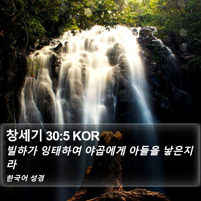 창세기 30:5 KOR Bible Study