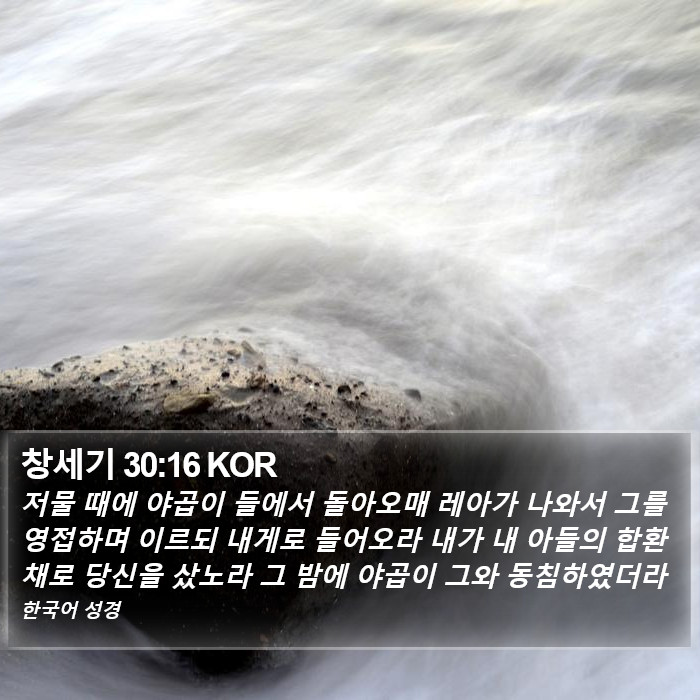 창세기 30:16 KOR Bible Study