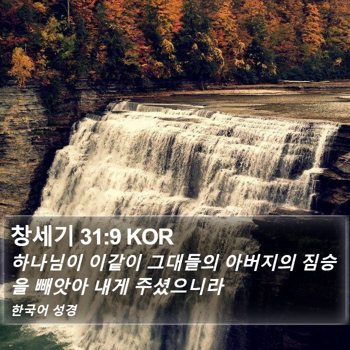 창세기 31:9 KOR Bible Study