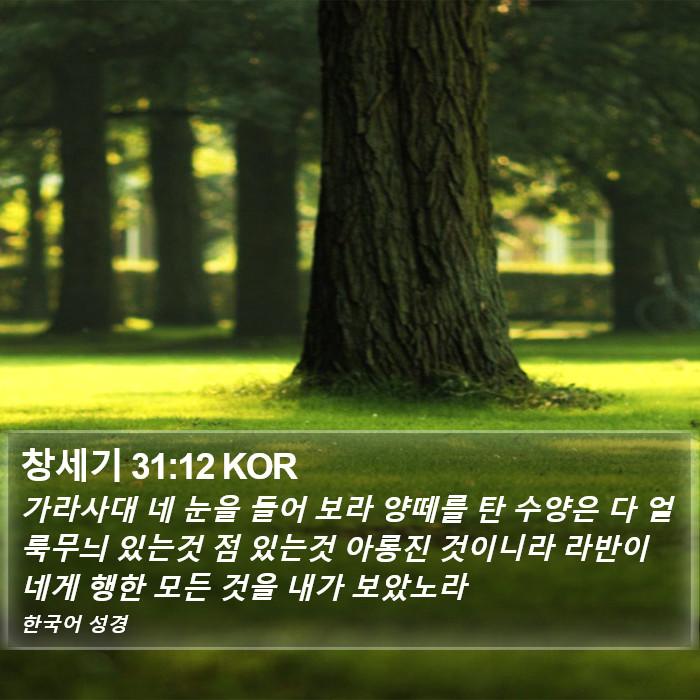 창세기 31:12 KOR Bible Study