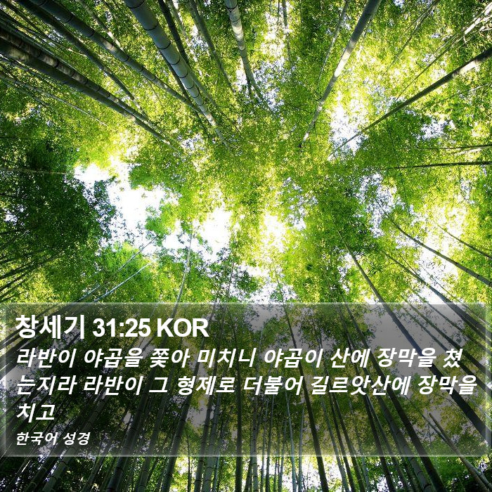 창세기 31:25 KOR Bible Study