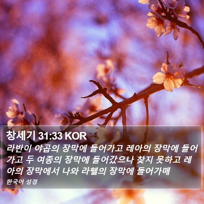 창세기 31:33 KOR Bible Study