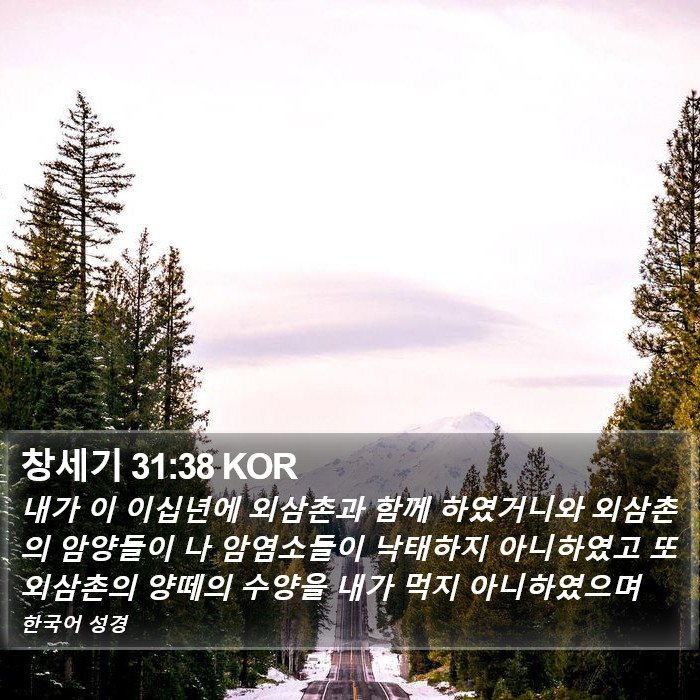 창세기 31:38 KOR Bible Study