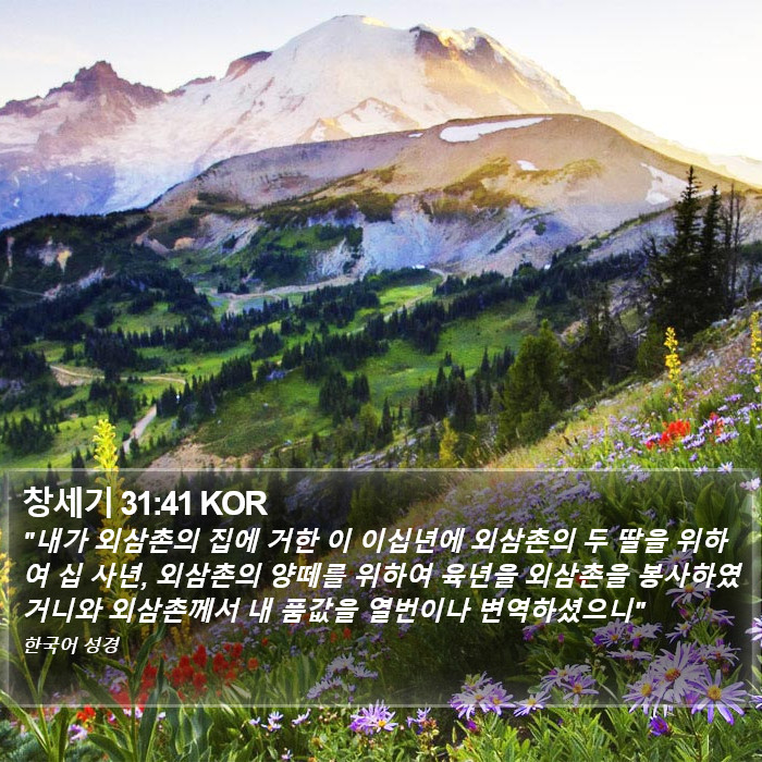 창세기 31:41 KOR Bible Study